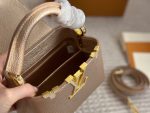 LV Capucines Lady Bag Size 20 28