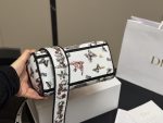 Dior Embroidered Princess Diana Bag 24*20cm